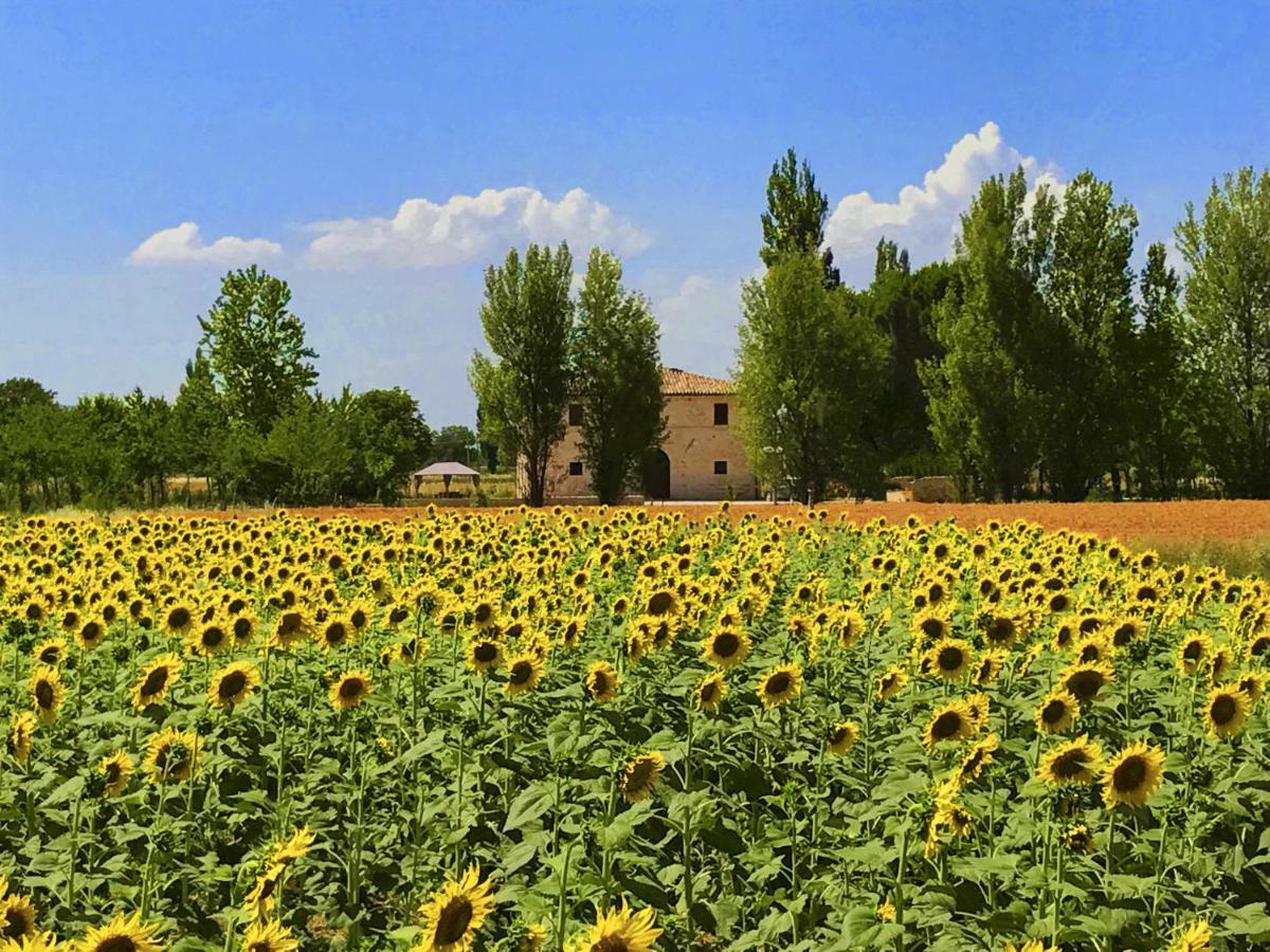 Villa Licinia Φολίνιο Εξωτερικό φωτογραφία