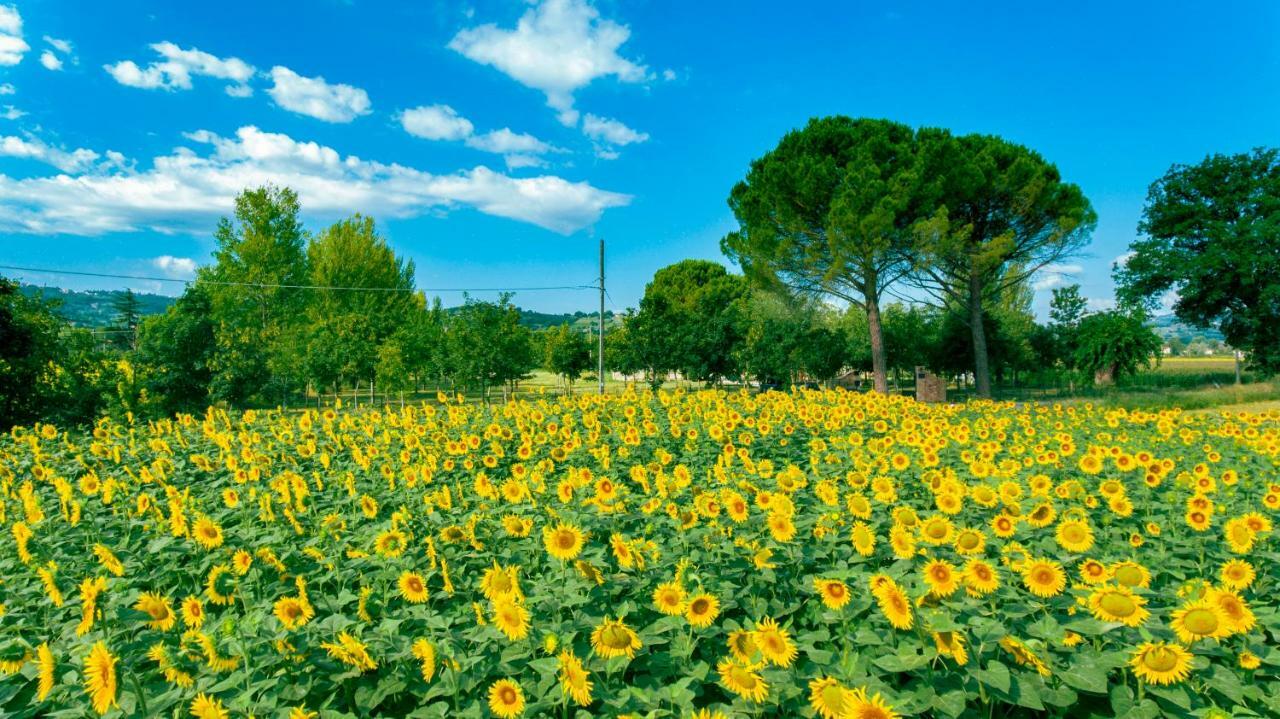 Villa Licinia Φολίνιο Εξωτερικό φωτογραφία